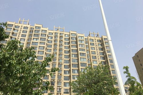 尚東城綜合評(píng)析 優(yōu)缺點(diǎn)、居住體驗(yàn)及周邊房產(chǎn)中介服務(wù)